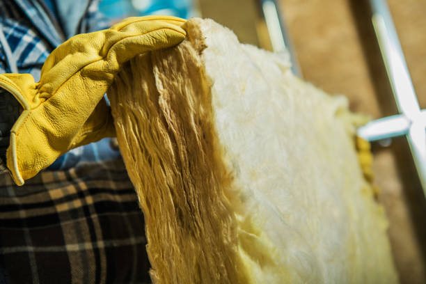 Best Commercial Insulation in Oviedo, FL